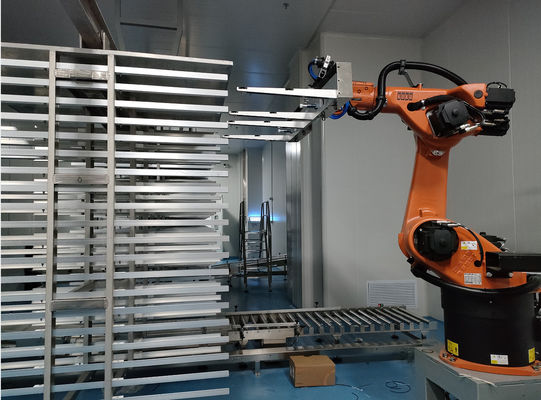 KUKA KR60-3 Palletizing Robot Cell Factory Robotics Zesassige industriële robot