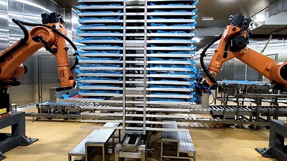 Pallet Robots Voedseltechnologie KUKA KR60-3 Industriële Robotcel