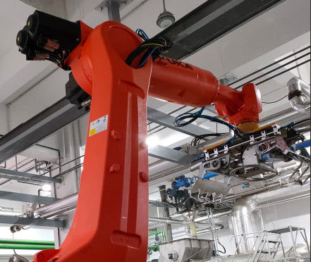 Mechanische Grijper industriële robots voor het vastgrijpen en vervoeren van voorwerpen
